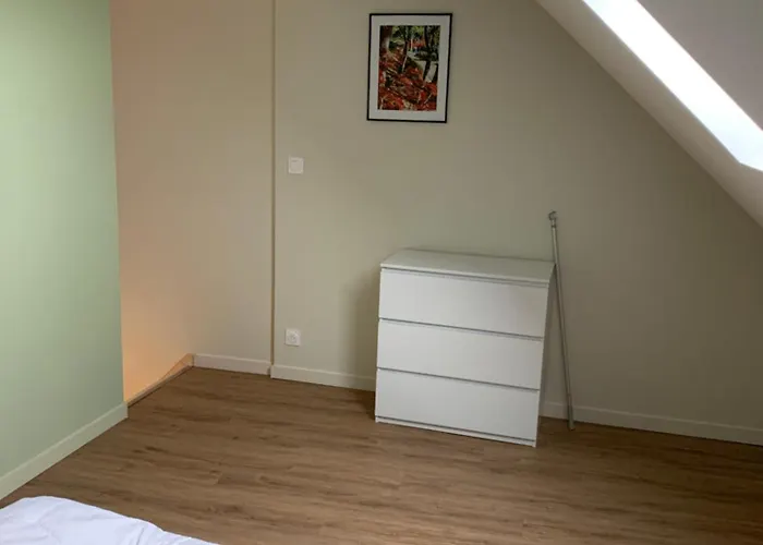 Hanami - Cholet Puy Du Fou * Maulévrier