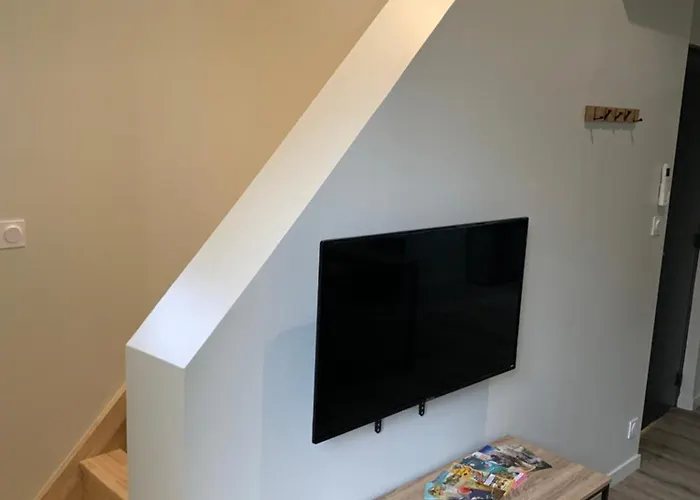 Hanami - Cholet Puy Du Fou Maulévrier