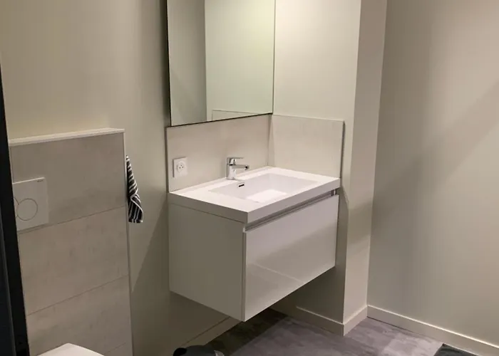 Hanami - Cholet Puy Du Fou *